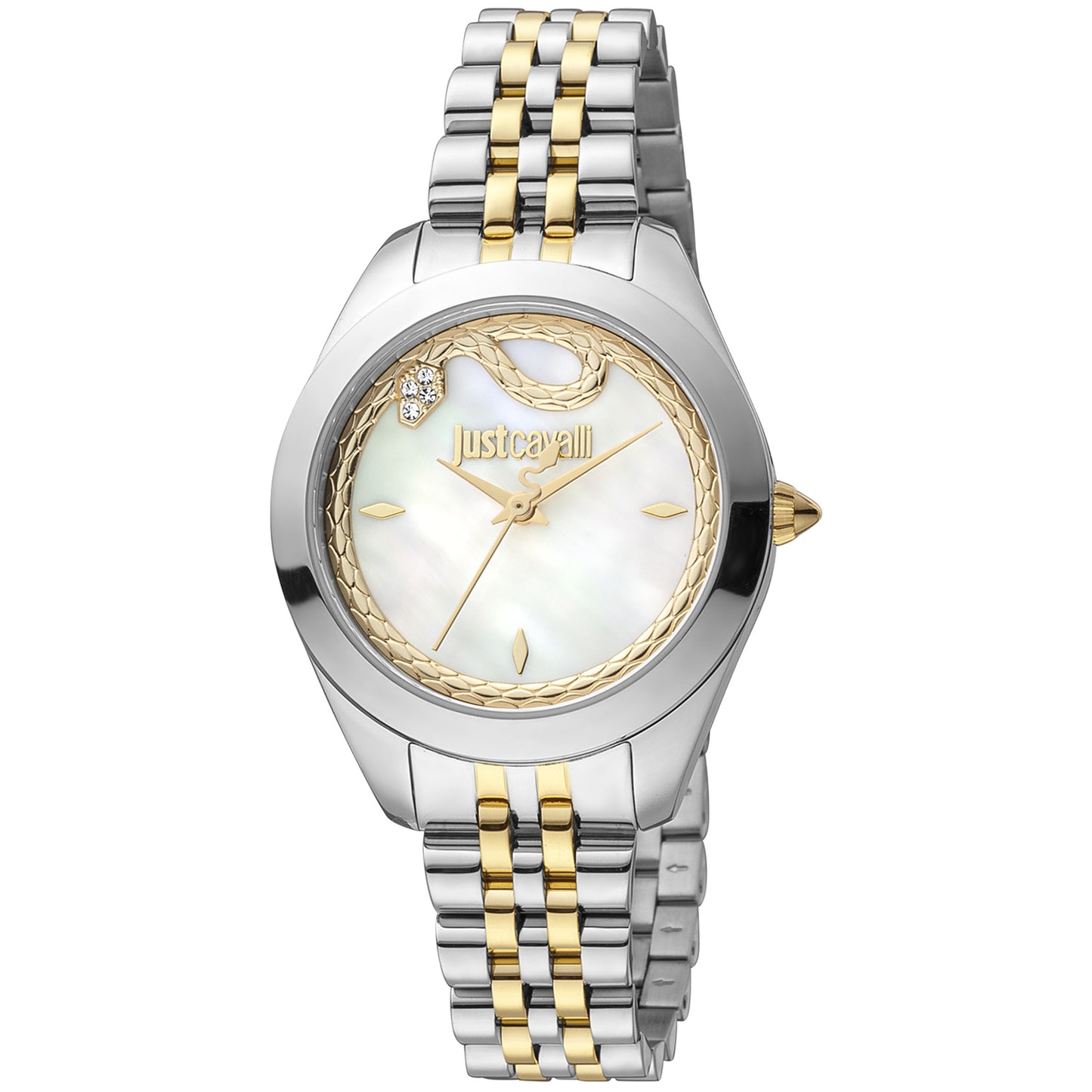 Just Cavalli Watch JC1L210M0295