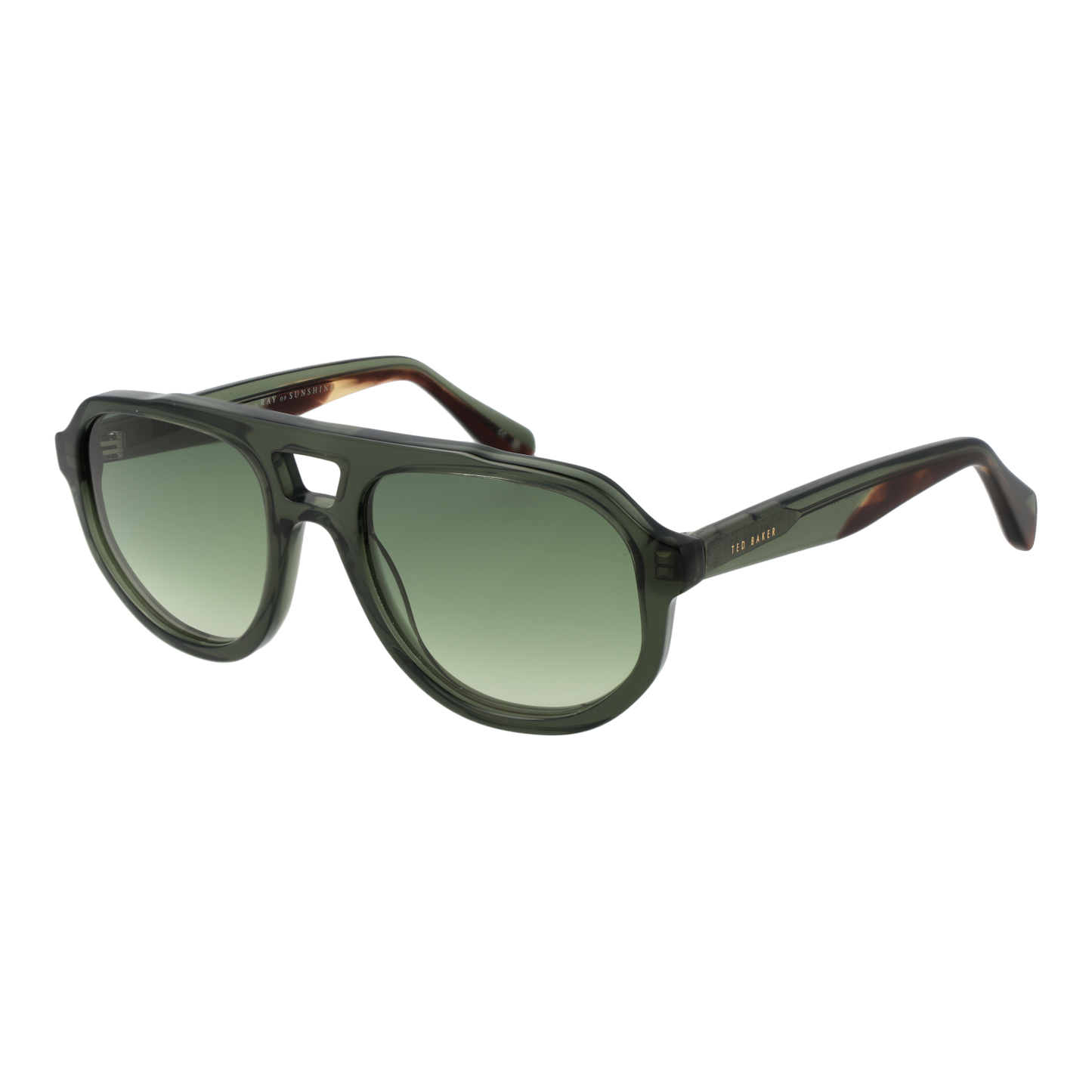 Ted Baker Sunglasses TB1692 590 53