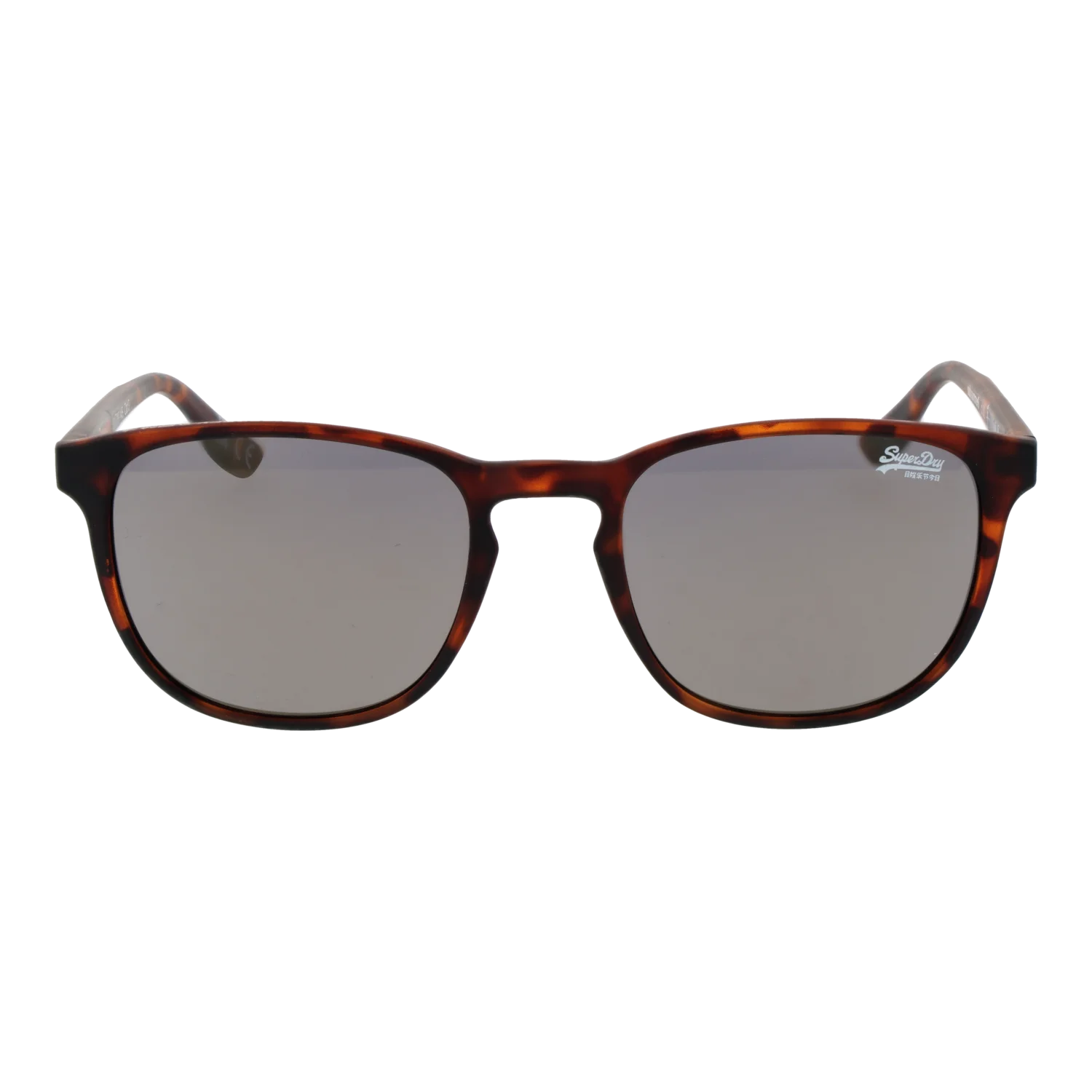 sds-summer-53102_1.png