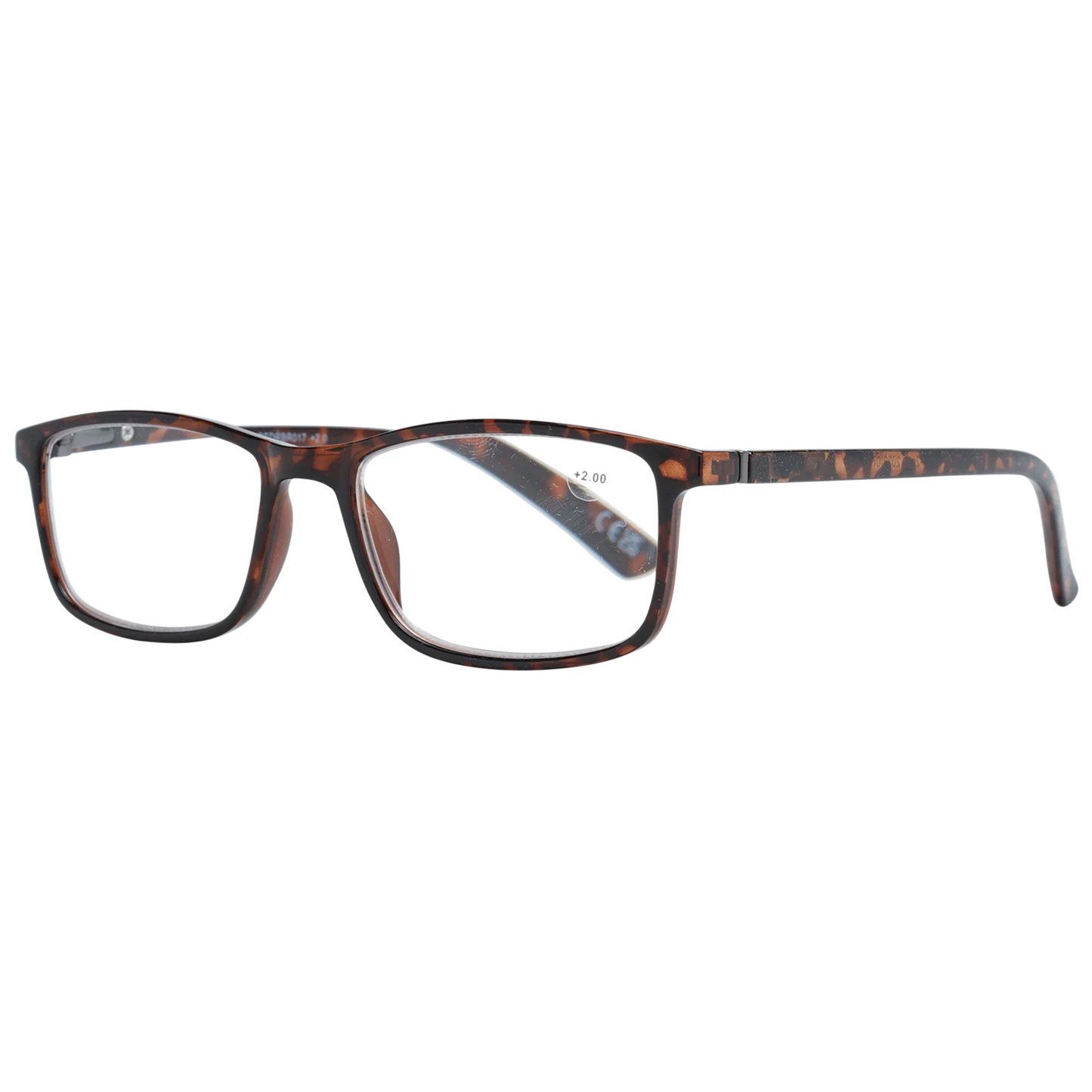 redrbr01720-53---2-0-dpt-.png
