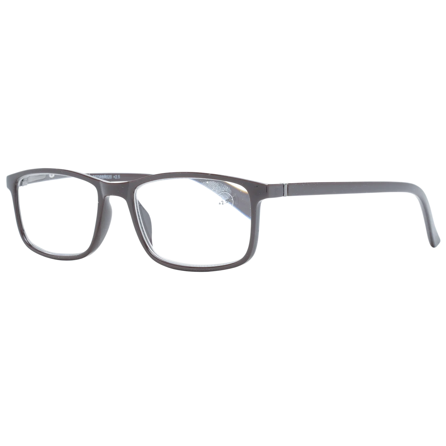 redrbr02025-53---2-5-dpt-.png