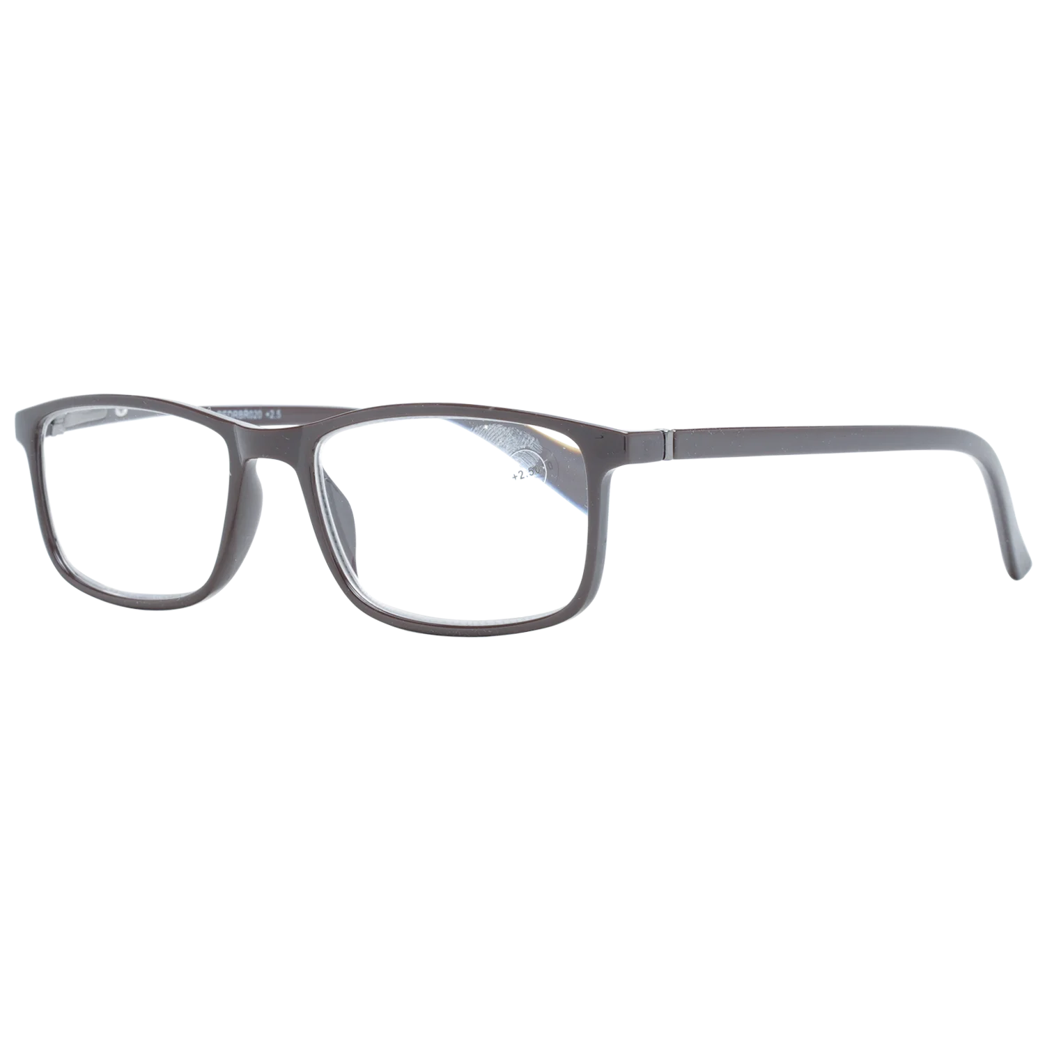 redrbr02025-53---2-5-dpt-.png